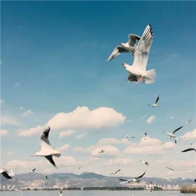 半岛·体育官网下载截图